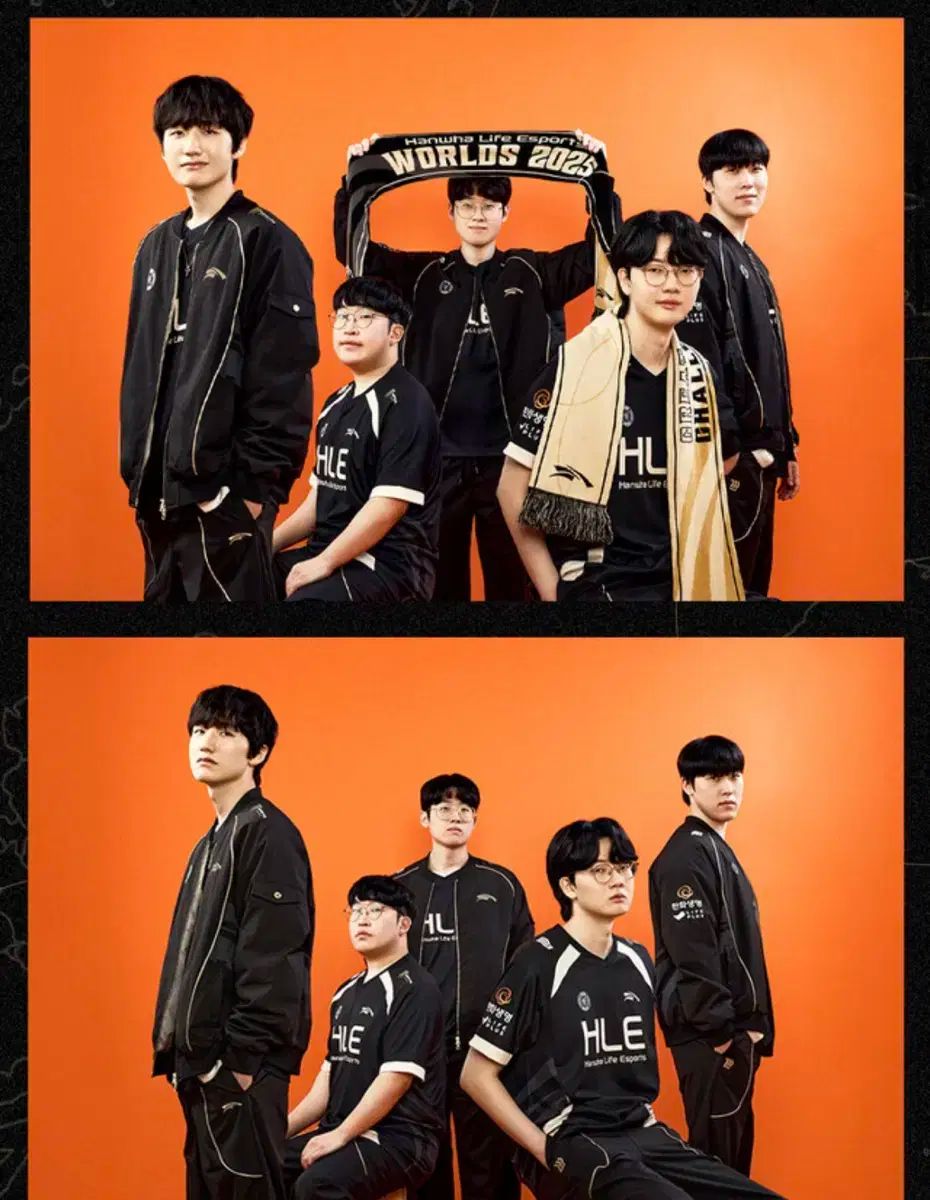 HLE WORLDS ジャケット ハンファ生命 ウォルズジャケット マフラー セット