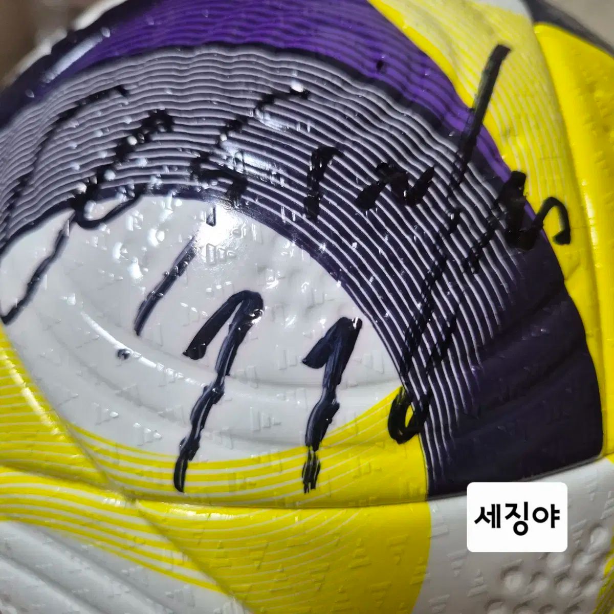 Kリーグ 25シーズン 公式球 サイン サインボール セシーニャ イ ドンギョン ピョン ジュンス キム ドンヒョン など LLC-HASEGAWATOSO_COM