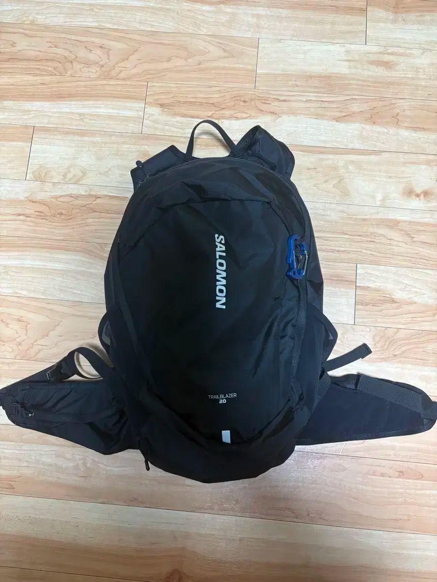 SALOMON サロモン トレイル ブレーザー 20