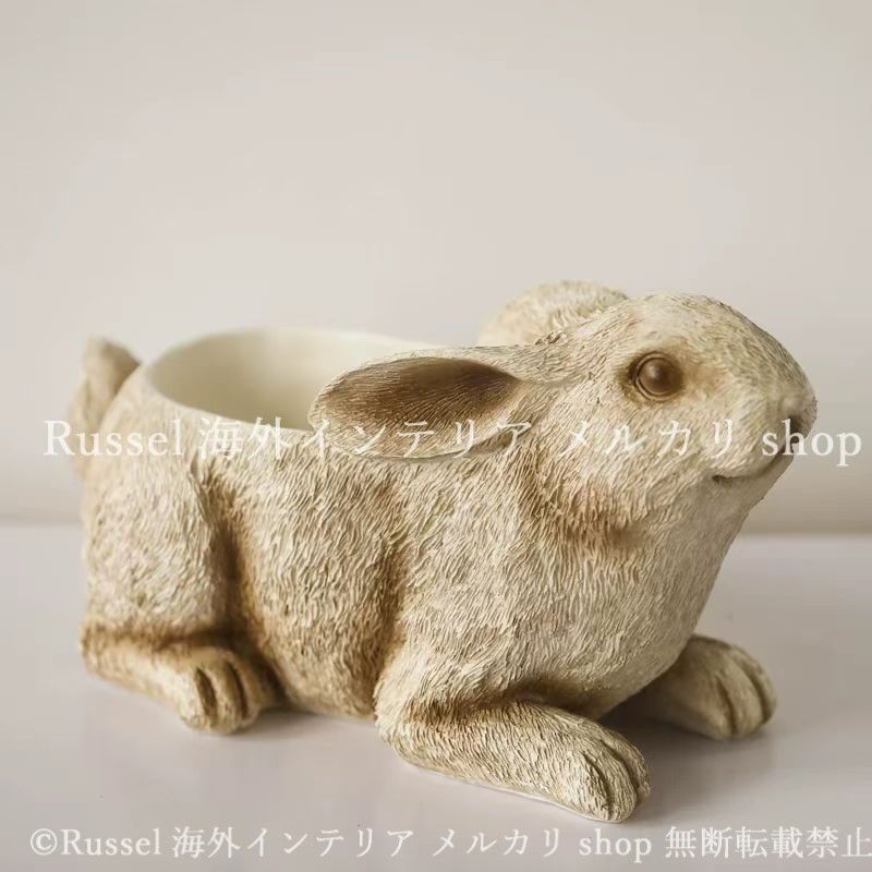 ウサギ かわいい