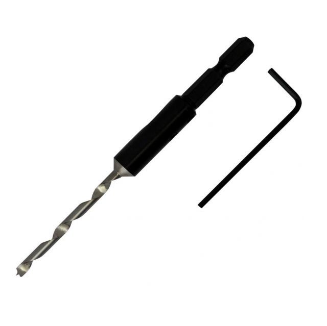 レオノール・フィニ「守護者スフィンクス」、希少画集より、状態良好