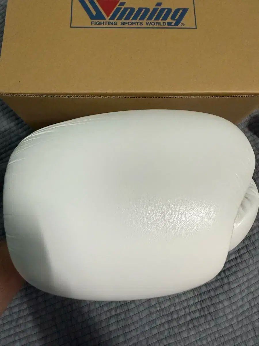 12オンス グローブ