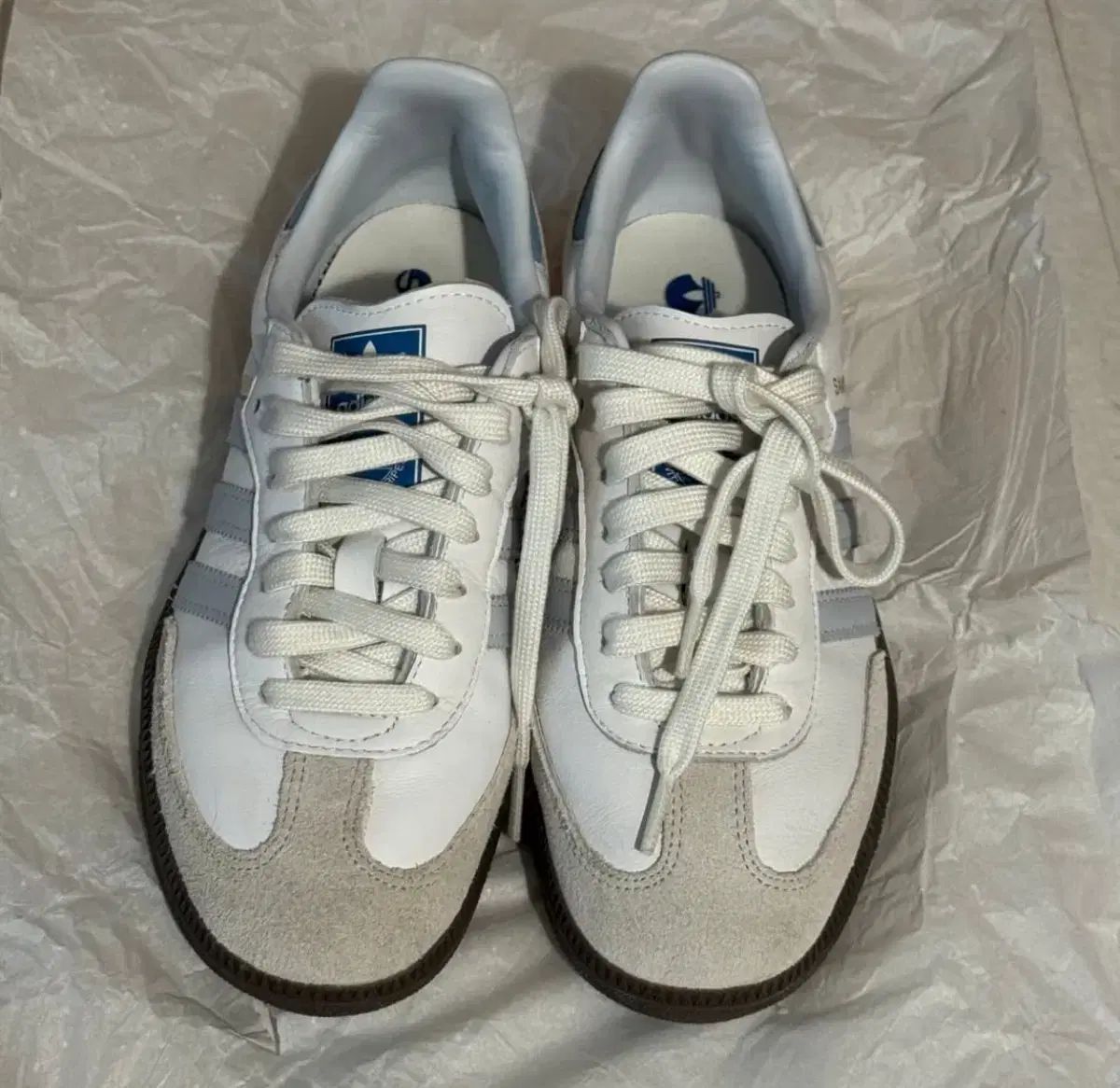 アディダス サンバ コア 白 ルー 三バ 白 ルー 青 white halo blue 24