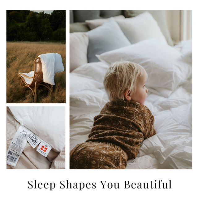 コンフォート-I カバー付き