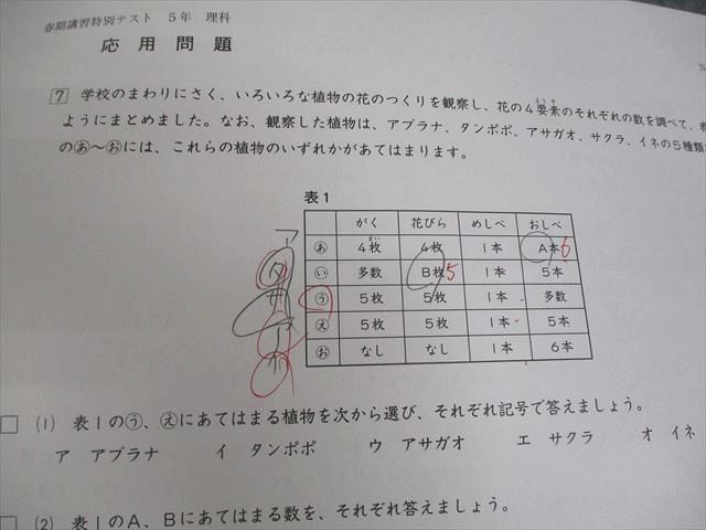 日能研 小5 全国公開模試 実力判定/学習力育成テスト 等 2023年度実施