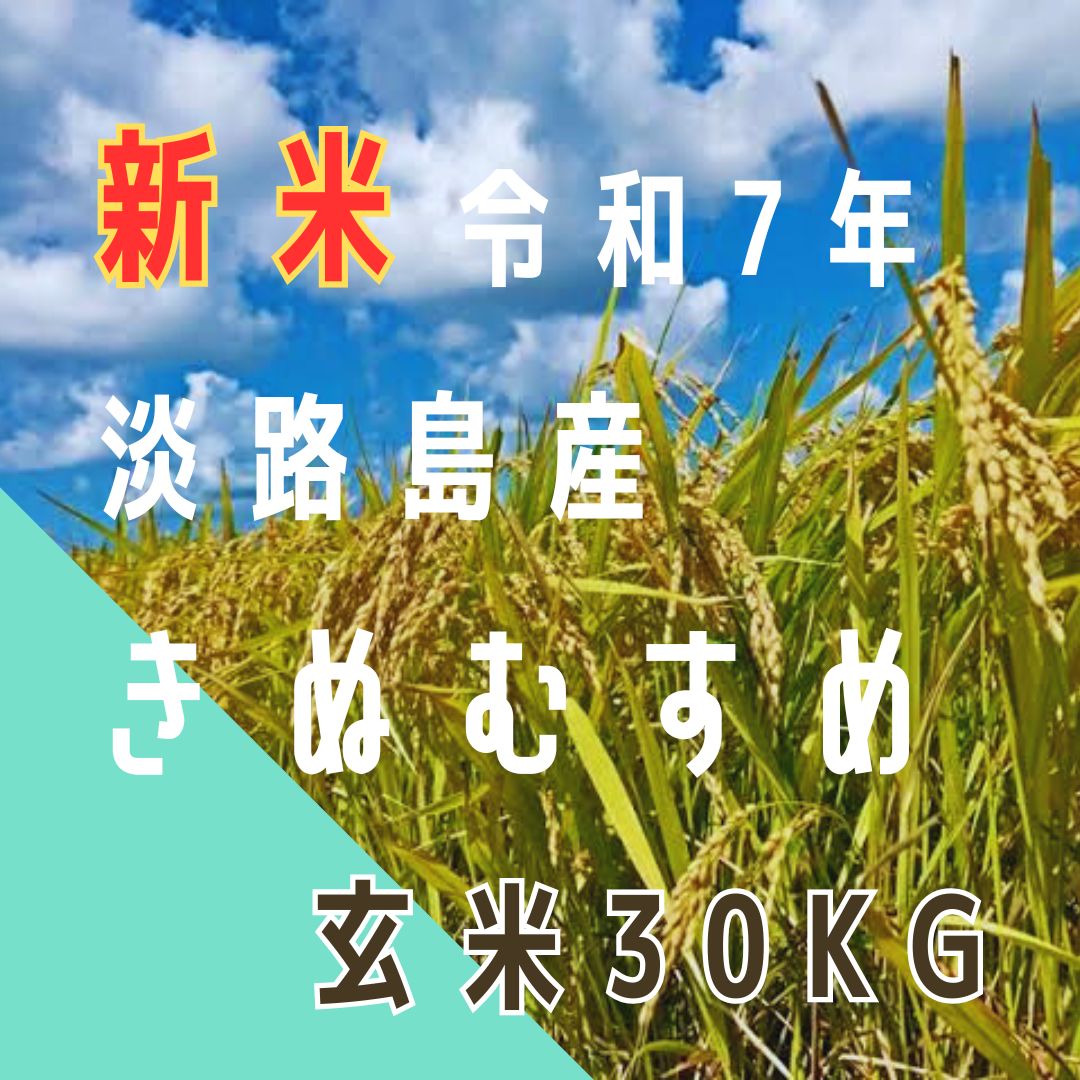 新米 令和7年産 きぬむすめ 玄米30キロ 淡路島産 産地直送 30kg お米 み