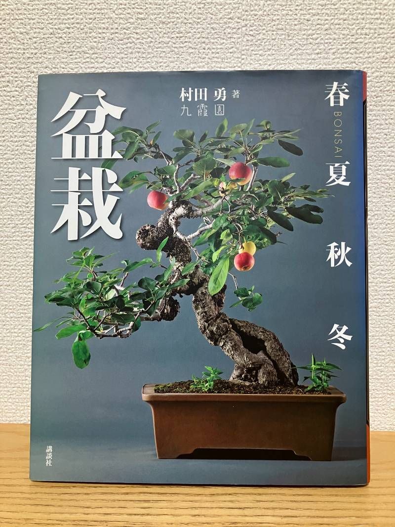 盆栽 春夏秋冬 - メルカリ