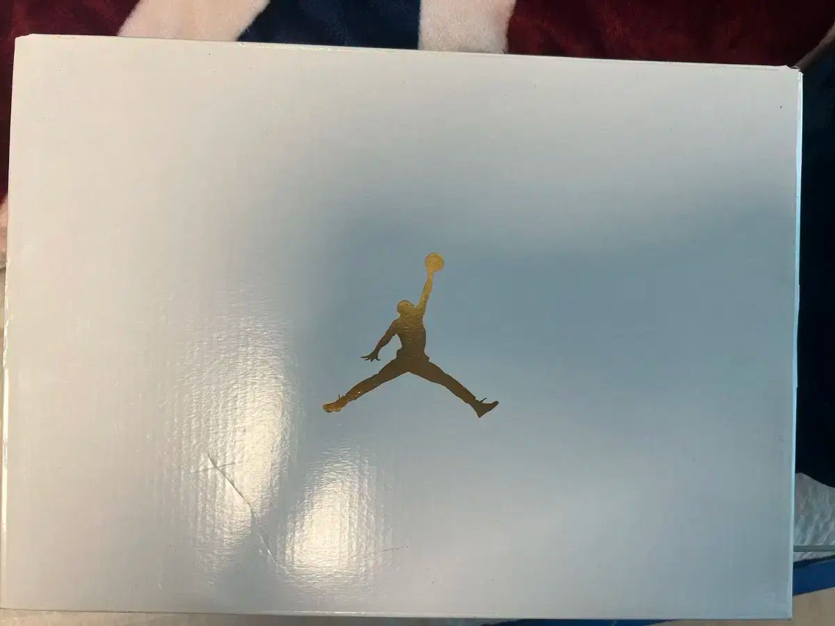  Wジョーダン ミッド1 ハバネロ レッド 260 シューズ(男性用) バスケットボール