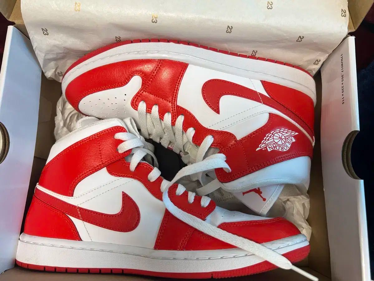 Wジョーダン ミッド1 ハバネロ レッド 260
