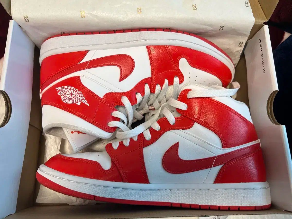 Wジョーダン ミッド1 ハバネロ レッド 260
