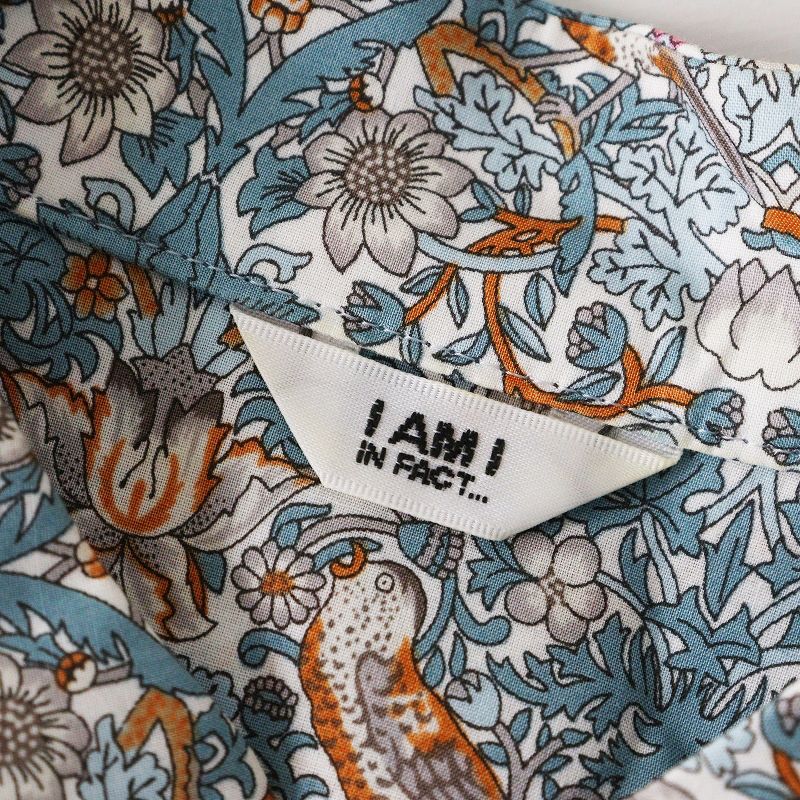 アイアムアイインファクト