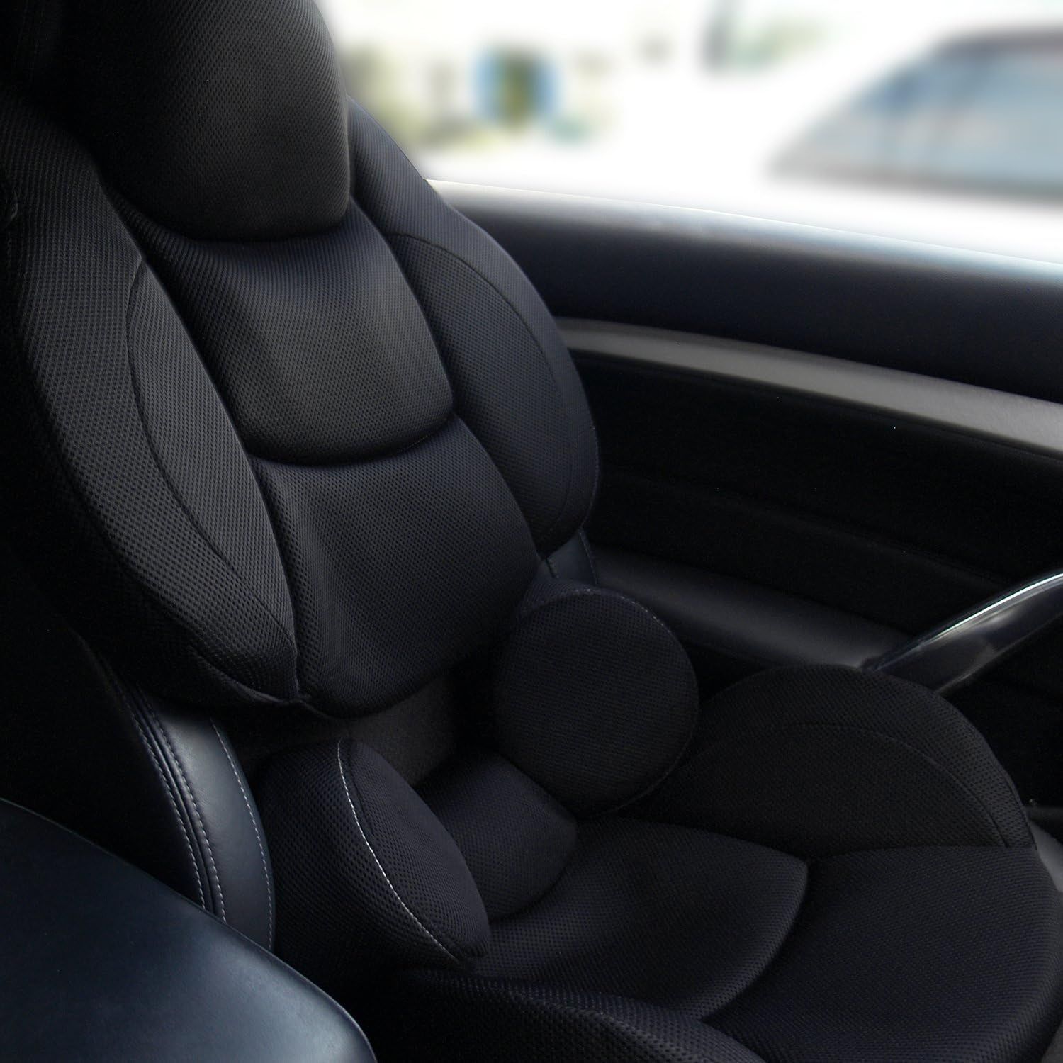 PROFACT プロファクト