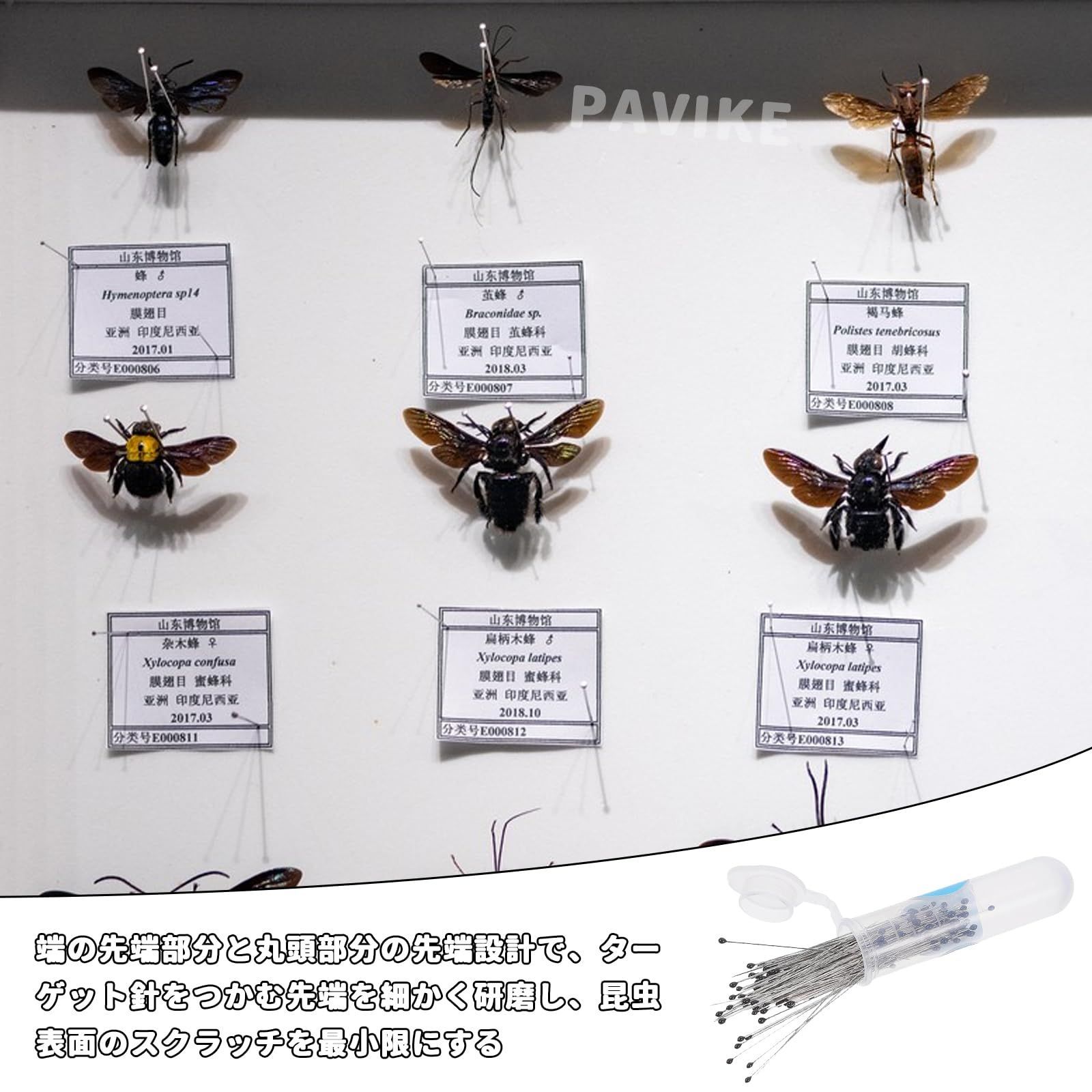 PAVIKE 虫ピン 標本 標本針 昆虫針 100本セット 長さ40mm 幅0.32mm
