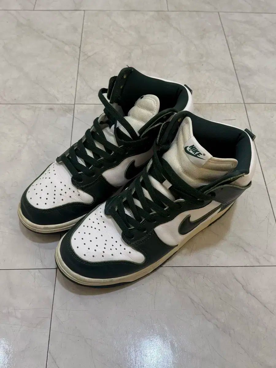  ナイキ ダンク スパルタン グリーン 275 シューズ(男性用) バスケットボール