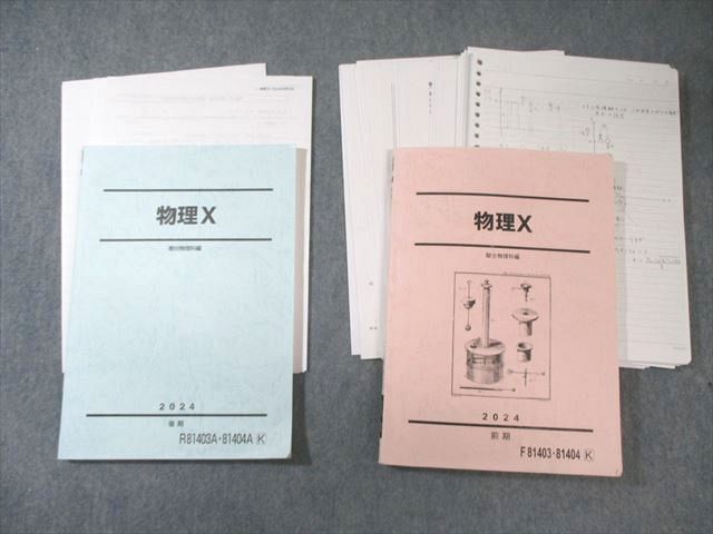 駿台 物理X テキスト通年セット 2024 計2冊 豆谷直哉/岡西利尚/中田