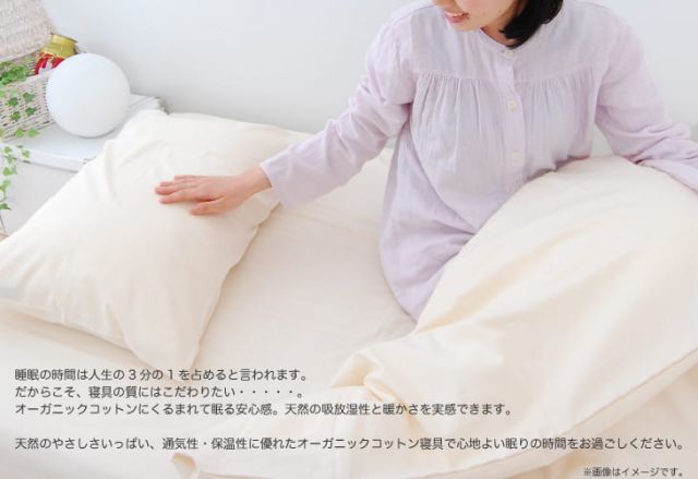 平織フラットシーツ 約220×260センチ