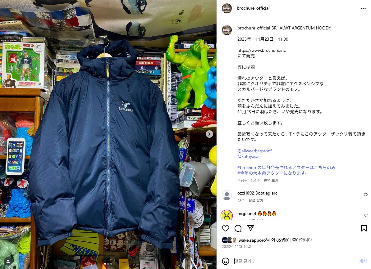 Brochure x Alwayth ARGENTUM フーディー ダウン L