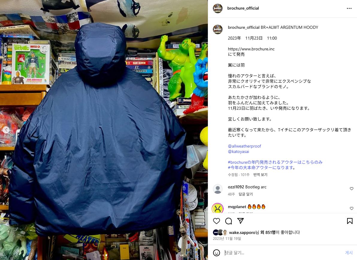 Brochure x Alwayth ARGENTUM フーディー ダウン L