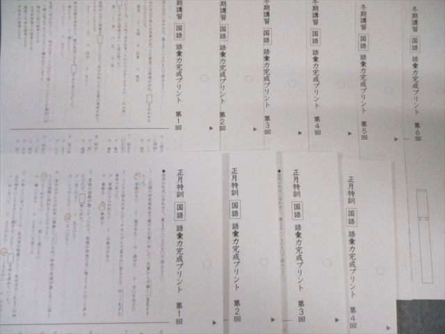 SS特訓 冬期講習 正月特訓　語彙力完成プリント　サピックス　❴非売品❵ SAPIX サピックス SS特訓/冬期講習/正月特訓 語彙力完成プリント 国語