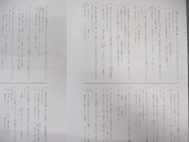 SS特訓 冬期講習 正月特訓　語彙力完成プリント　サピックス　❴非売品❵ SAPIX サピックス SS特訓/冬期講習/正月特訓 語彙力完成プリント 国語