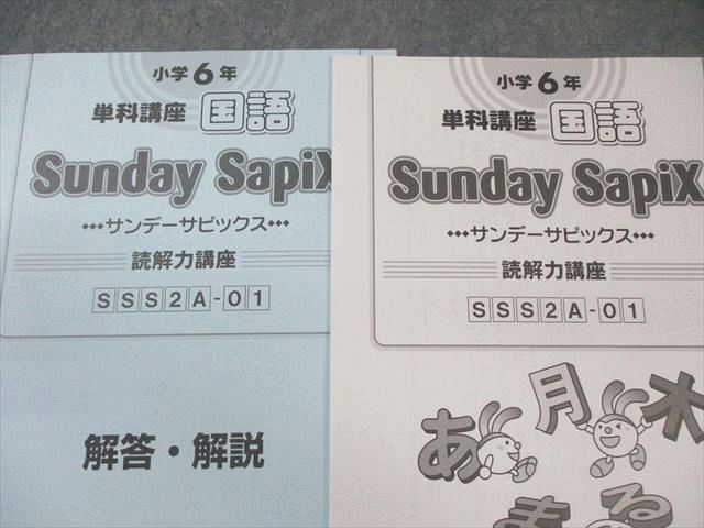 本 SAPIX 小6 サピックス SS特訓 社会 通年セット 【全14回分フル