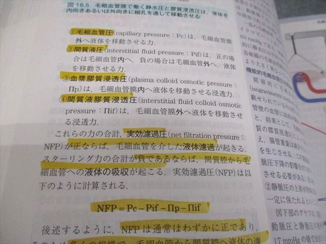 ELSEVIER ガイトン生理学 原著第13版 2018 042M3D - メルカリ