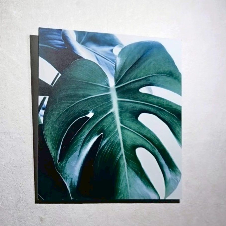 BoConcept ボーコンセプト BANANA プリントアート アートパネル フォトアート 壁掛け アート モダン 北欧