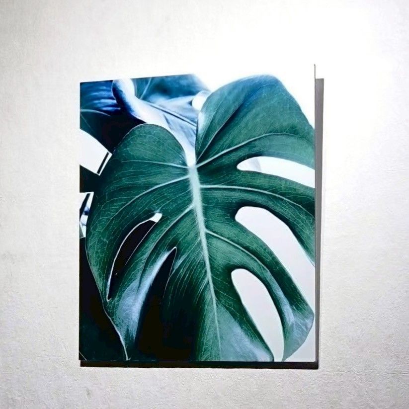 BoConcept ボーコンセプト BANANA プリントアート アートパネル フォトアート 壁掛け アート モダン 北欧