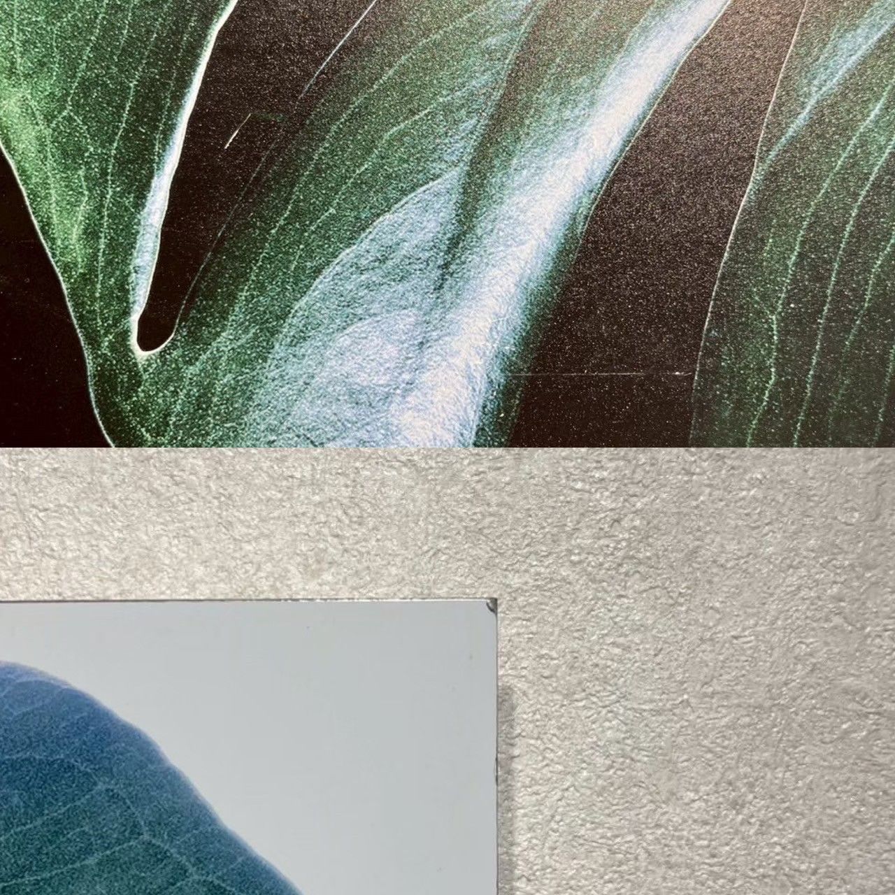 ボーコンセプト