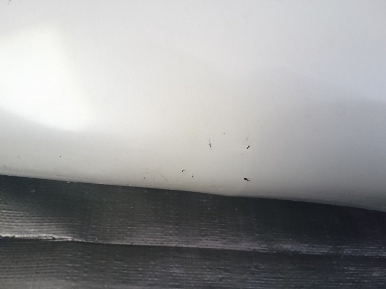 MK53S スペーシア リアバンパー パール ZVR 18984 FFCRYSTALESIA_COM