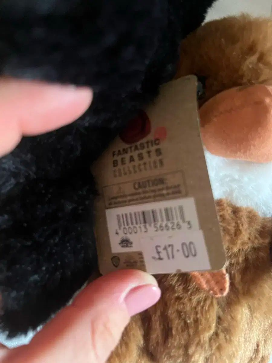 グレー ブラック