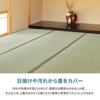 い草 純国産上敷き 江戸間8畳 双目織 天草 あまくさ