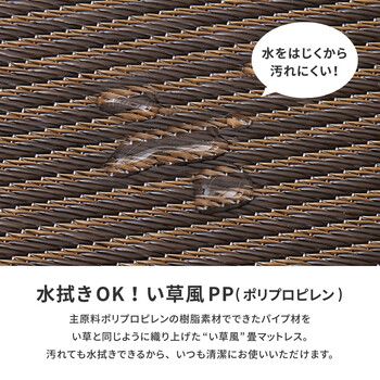 約100×200×1.1cm PP