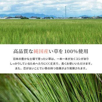 ラグ 国産い草ラグ カーペット 約191×250cm 紋織 裏貼りあり 滑りにくい加工 月光 抗菌 防臭 和モダン