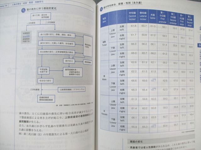 麻布デンタルアカデミー 歯科医師国家試験参考書 New Text 1～8 高齢者