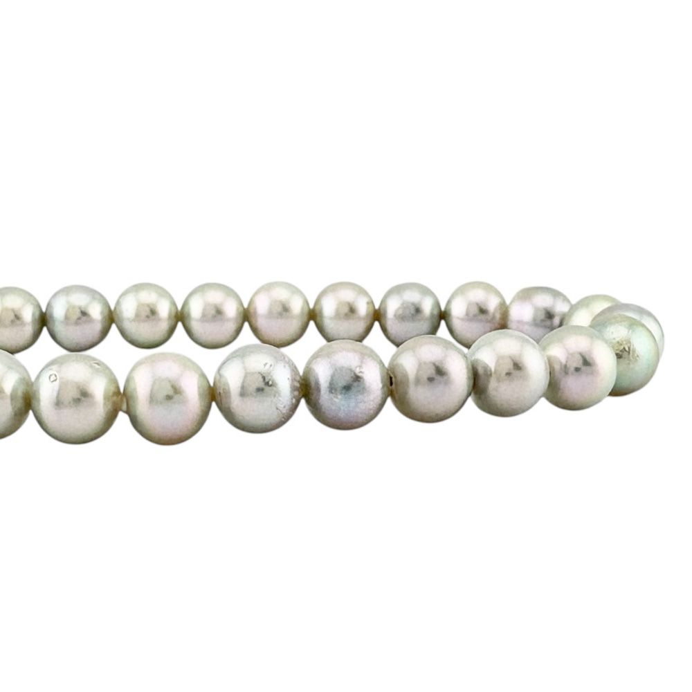 タサキ ネックレス シルバー アコヤパール レディース TASAKI 中古