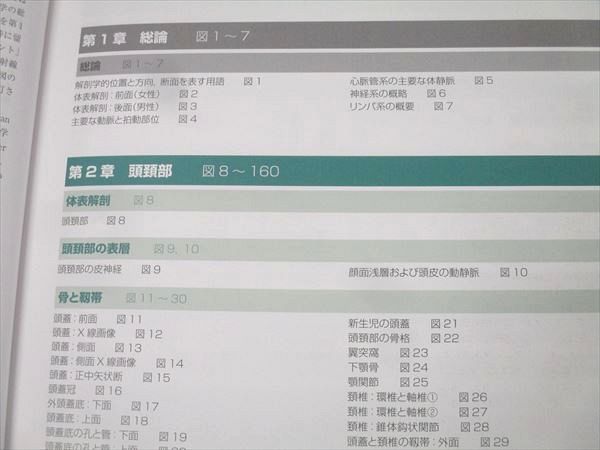 南江堂/ELSEVIER ネッター解剖学アトラス 原書第7版 2022 Frank H