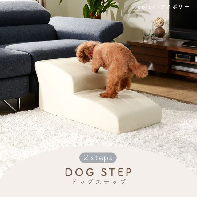 種類12 PVCライトブルー ドッグステップ スロープ ステップ 2段 A385 トイプードルモデル ペットステップ 犬 階段 ペット ステップ スロープ ヘルニア 老犬 介護 セルタン