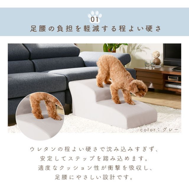 385 トイプードルモデル