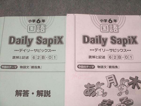 SAPIX 小学6年 国語 デイリーサピックス 読解と記述 62B-01～38 計38