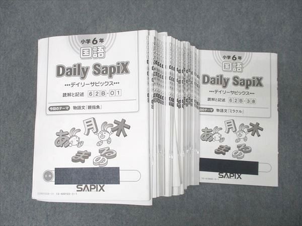 SAPIX 小学6年 国語 デイリーサピックス 読解と記述 62B-01～38 計38
