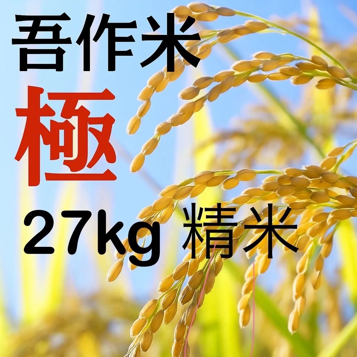 新米 令和7年度 27kg 精米 広島県産ヒノヒカリ 農家直送 吾作米