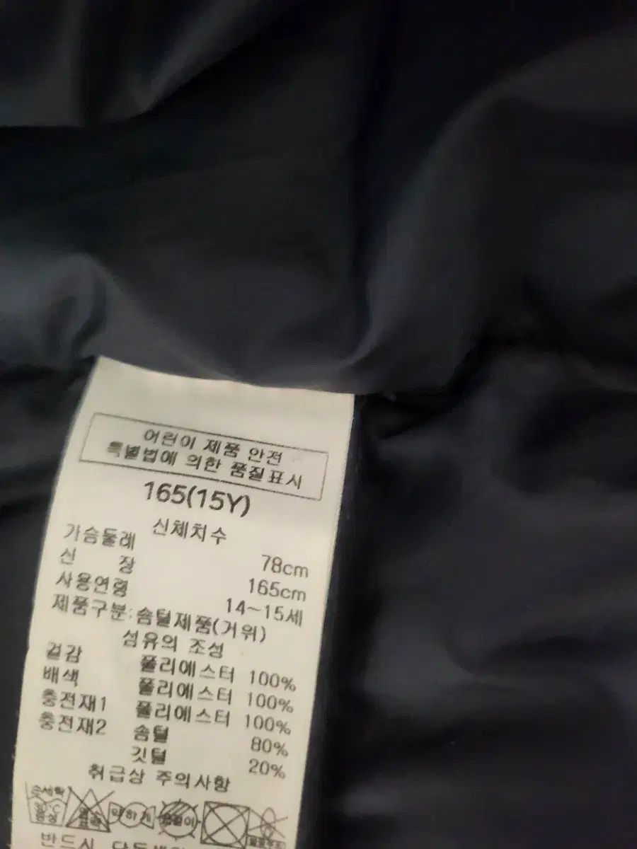 Little ダックスキッズ