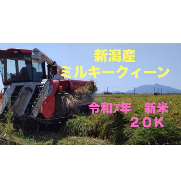 令和7年度産 新米新潟産 ミルキークイーン ２０Ｋ