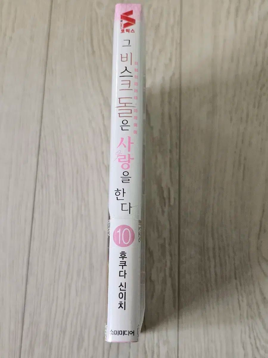 そのビスクドールは愛をする 10巻 モデル