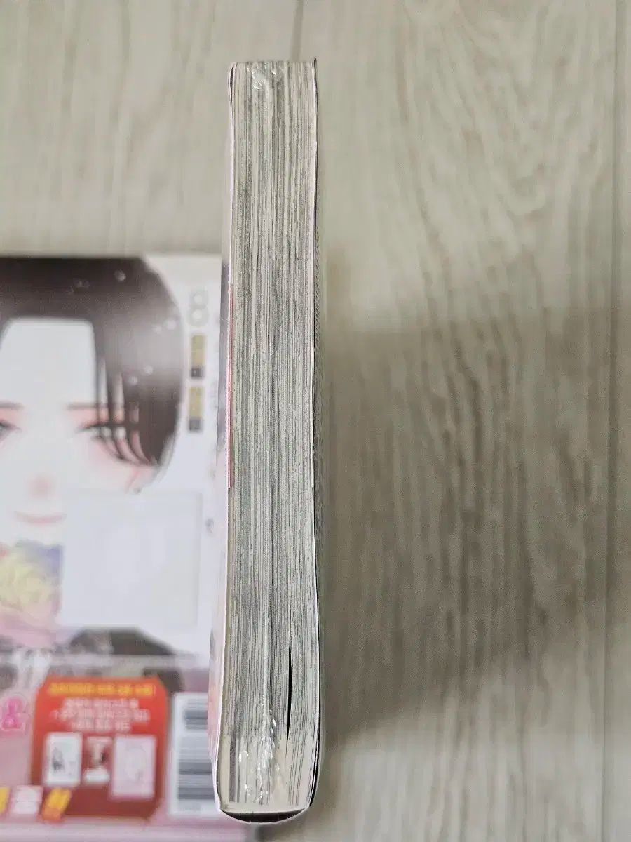 そのビスクドールは愛をする