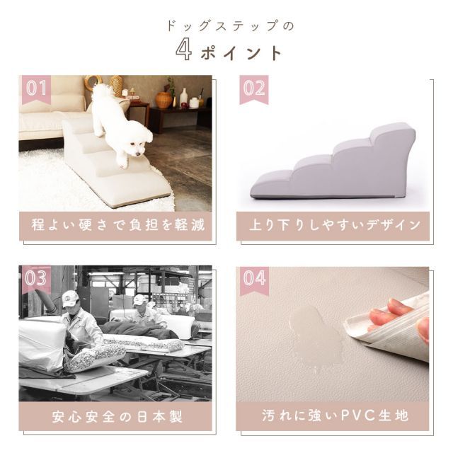 セルタン ヘルニア