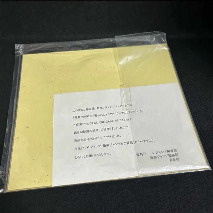 遊☆戯☆王5D's 不動遊星 当選品 サイン色紙 Vジャンプ 懸賞