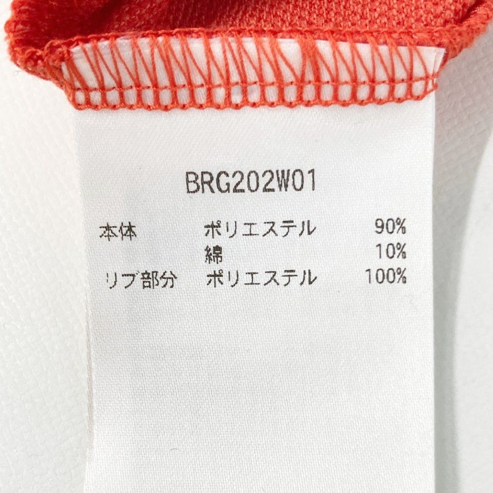 ブリーフィング BRG202W01