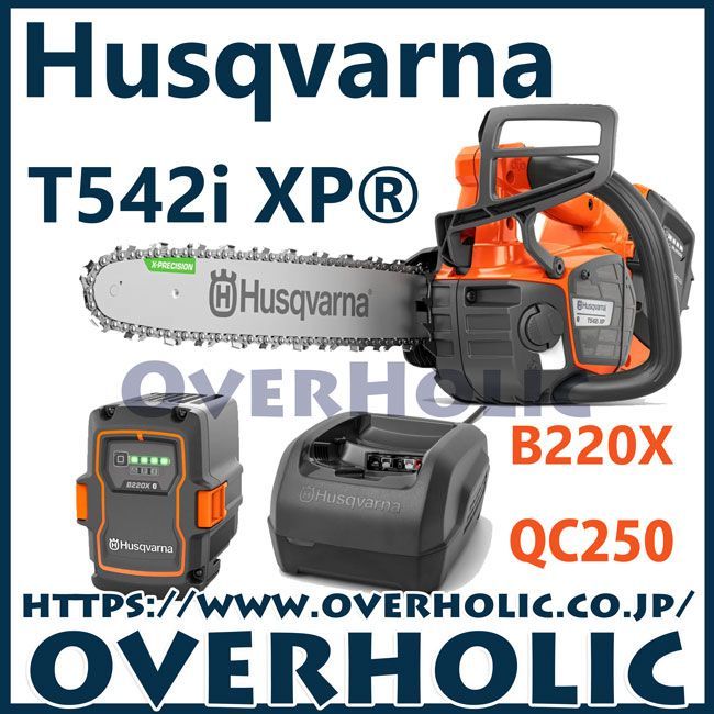 ハスクバーナバッテリーチェンソーT542i-XP 14RT SP21G フルセット